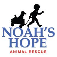 Noah animal adoption - Noah's Hope Animal Rescue, Sioux City, Iowa. 42,723 likes · 5,360 talking about this · 429 were here. We are a 501(c)(3) non-profit foster based rescue group based in Sioux City, IA.